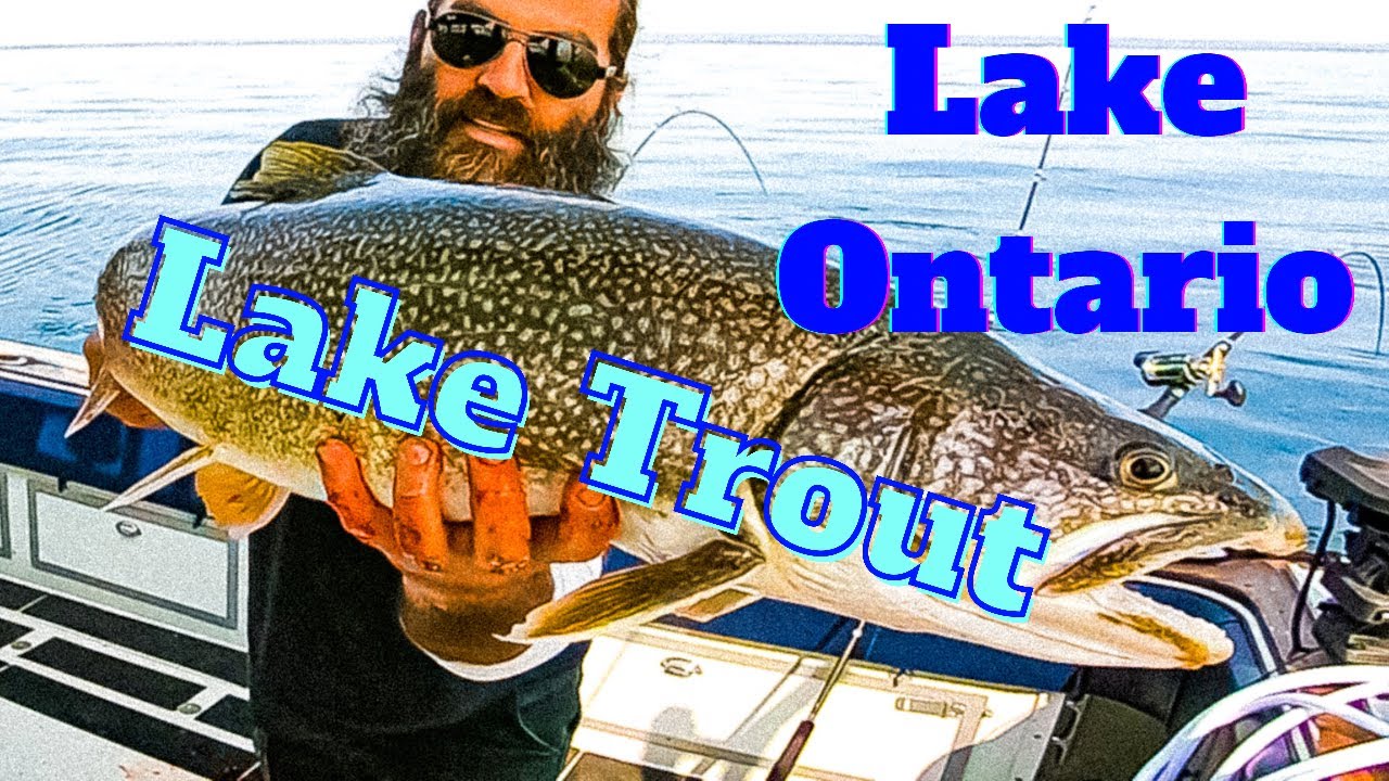 LAKE TROUT FISHING, Lake Ontario, Central New York YouTube
