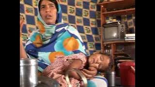 Download lagu Western Saharans, refugees in desert exile