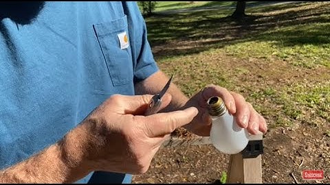 How To Hollow Out A Lightbulb And Solar Ignite Punk Wood