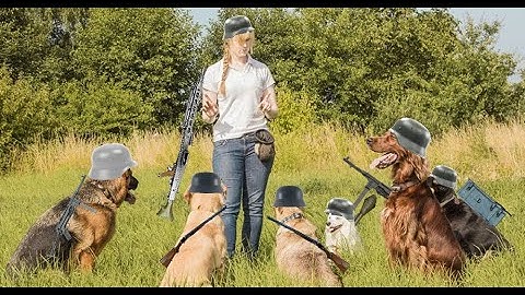 giving you squad orders be like (enlisted game play)