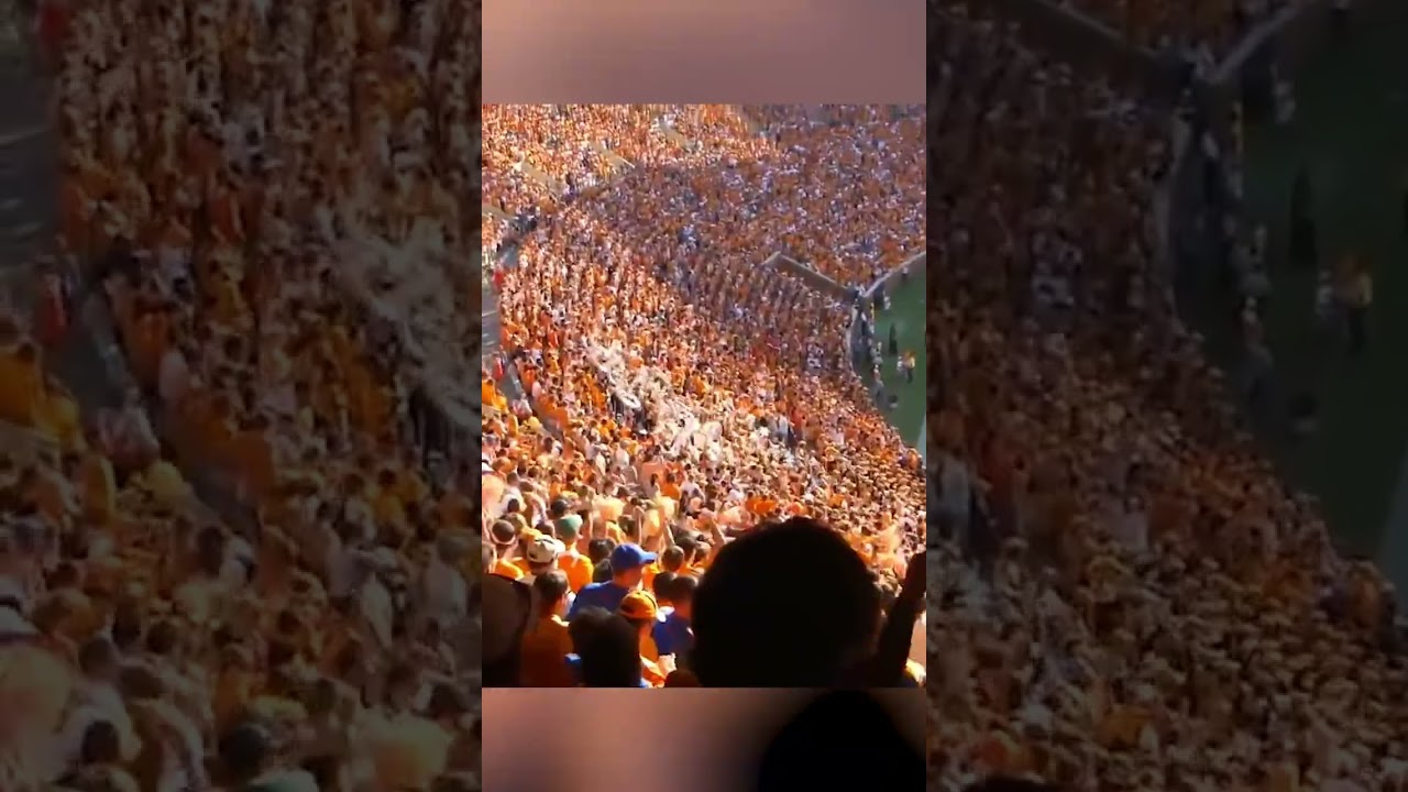 The Taco Bell Live Más Student Section of the Month! YouTube