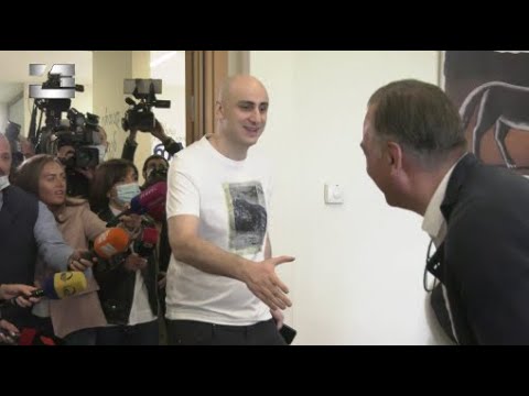 იქნება თუ არა ნიკა მელია ოპოზიციის მერობის ერთიანი კანიდიდატი