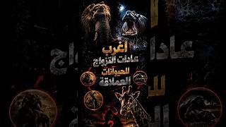 اغرب عادات تزاوج عند عمالقة الحيوانات ! والأخير بيتحول لـ هولك وبيدمر الغابة عشان الجواز 😲😱#shorts