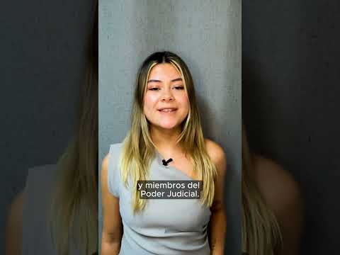 El testimonio de la exjueza Sabaj sobre su vínculo "de amistad y confianza" con Luis Hermosilla
