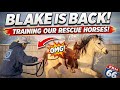 These Rescue Horses Needed Blake's Quiet Confidence