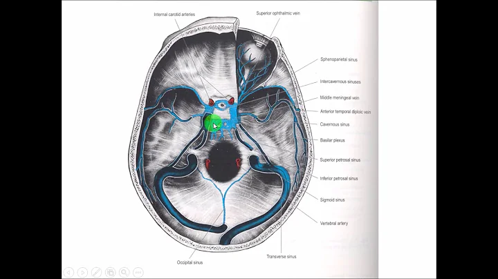 Anatomy of the DURAL VENOUS SINUSES || Cavernous Sinus || Dr. Yusuf ||