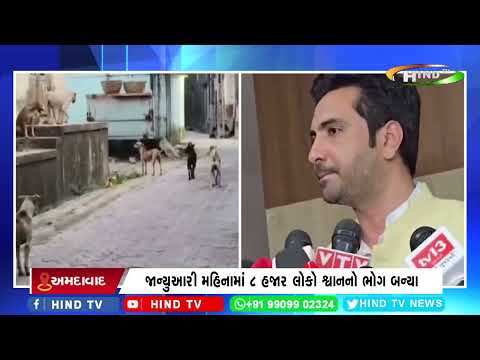 અમદાવાદમાં રખડતાં શ્વાનનો આતંક