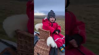 all my boys out on the moor this morning ❤️