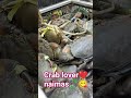 crab it lover❤️ sarap❤️❤️❤️