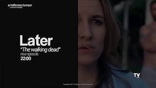 Modern TV Broadcast Graphics Package | After Efects Project Files