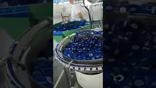 Fully auto tall bottle push rod type feeding filling capping line