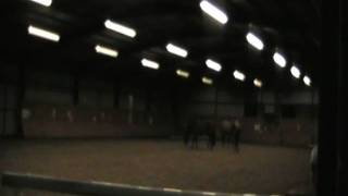 Music With Horses demo @ Conquest Centre 3rd March - Abigail Todd