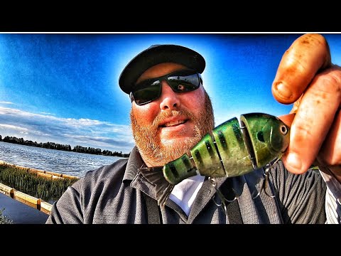 Mike Bucca’s Baby Bull Gill REVIEW !!! (Does it work?)