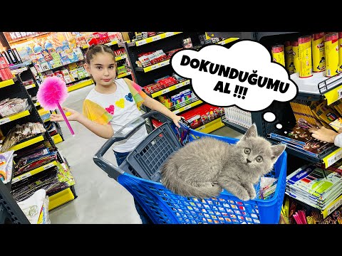 KEDİMİZ BÜCÜR İLE DOKUNDUĞUNU AL !! KIRTASİYE CHALLENGE !!