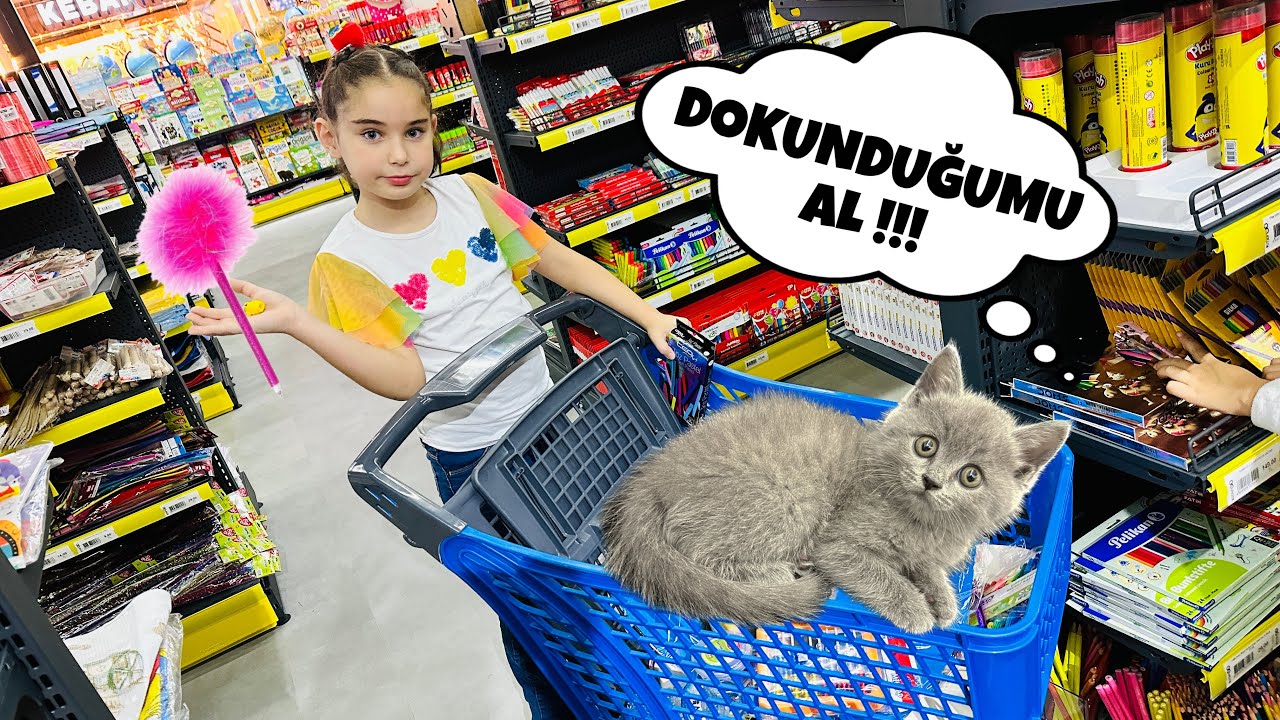KEDİMİZ BÜCÜR İLE DOKUNDUĞUNU AL !! KIRTASİYE CHALLENGE !!