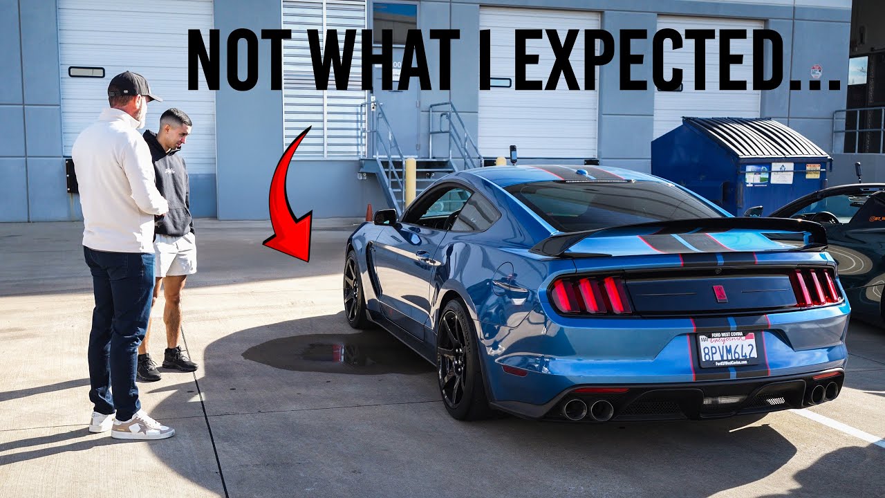 I owned a Shelby for 3 WEEKS and now it NEEDS this...