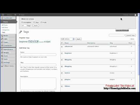 WordPress 3.4 Post Tags Settings
