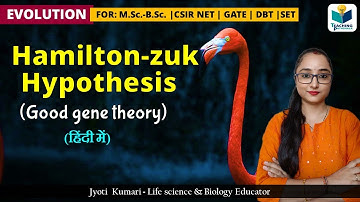 Hamilton-Zuk Hypothesis  || Evolution & Animal behavior || CSIR NET JUNE 2024