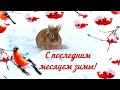 С началом февраля! С последним месяцем зимы! Зимний приветик!