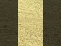 Sol 1,760: This Martian trail has never heard a footstep. Never felt a heartbeat. Never known life.💀