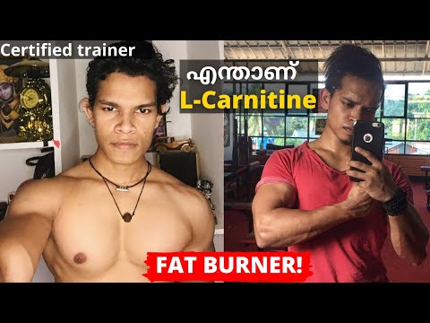 ቪዲዮ: በድመቶች ውስጥ የ L-Carnitine እጥረት