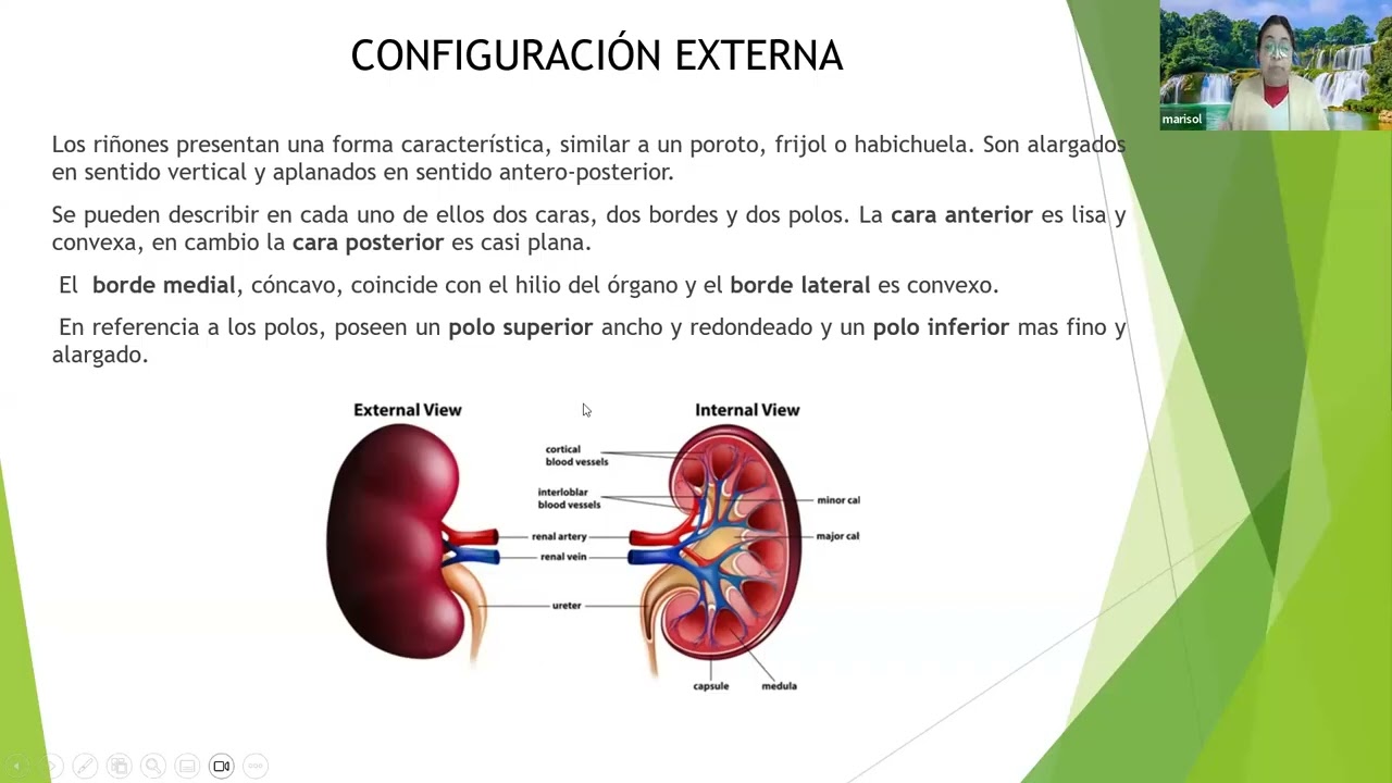 generalidades en enfermería necrológica