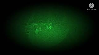 Siren Heads:Woods but i add the Night vision googles and the SCP Facility Lockdown omega warhead