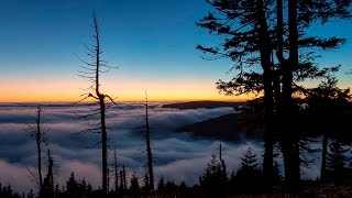 Timefocus Films 2016 Showreel