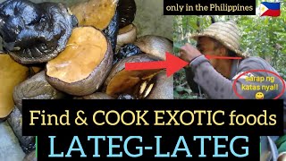 find and cooking lateg-lateg in the forest a kind of wild mushroom | life in the Philippine country
