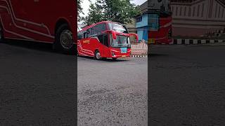 basuri v4 mozart bus transfas reina #basuri #v4 #mozart