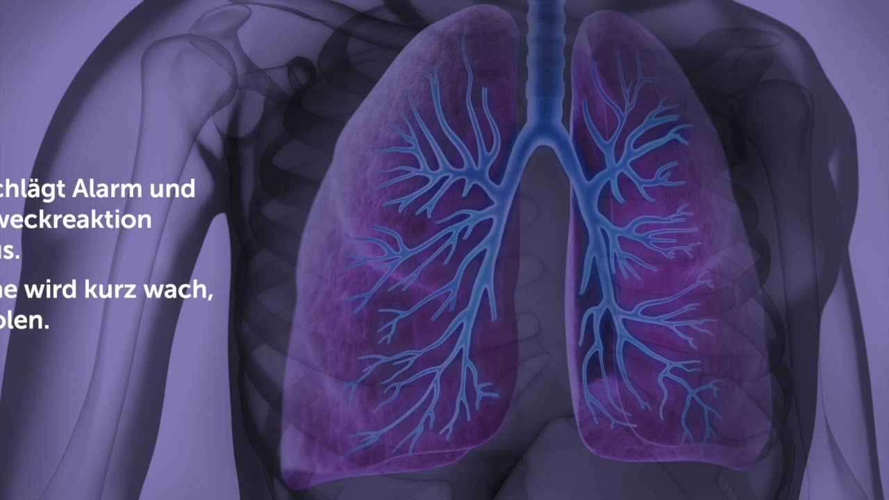 Atemaussetzer Ursachen und Therapien YouTube