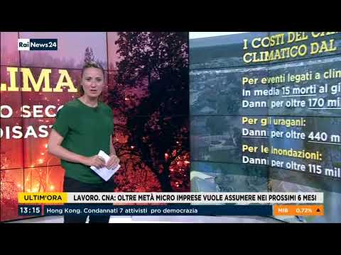 RAI NEWS 24 h 13.15. Lavoro, le micro imprese vogliono assumere nei prossimi 6 mesi