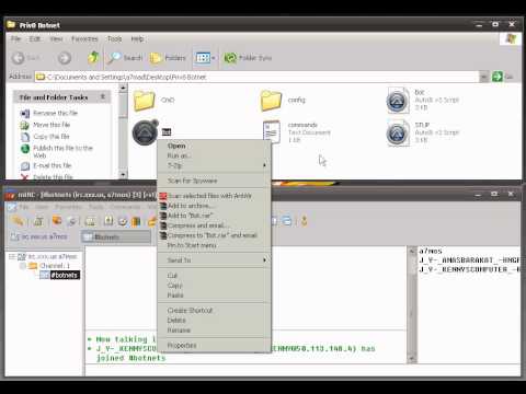 Priv8 Botnet IRC AutoIT