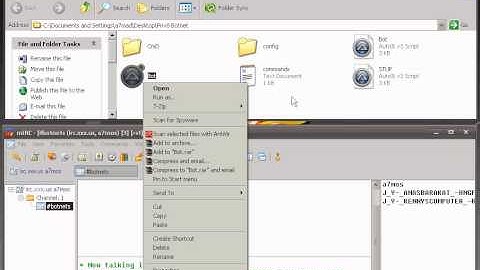 Priv8 Botnet IRC AutoIT