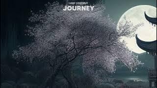 Lost Coconut - Journey (Official Audio)