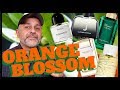 5 AWESOME ORANGE BLOSSOM + NEROLI CITRUS FRAGRANCES | The Difference Between Neroli + Orange Blossom