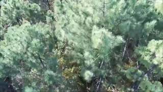 crash du Drone ANAFI ...perdu dans une Forêt inconnus RTH