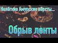 Нелёгкие амурские вёрсты (обрыв плёнки)