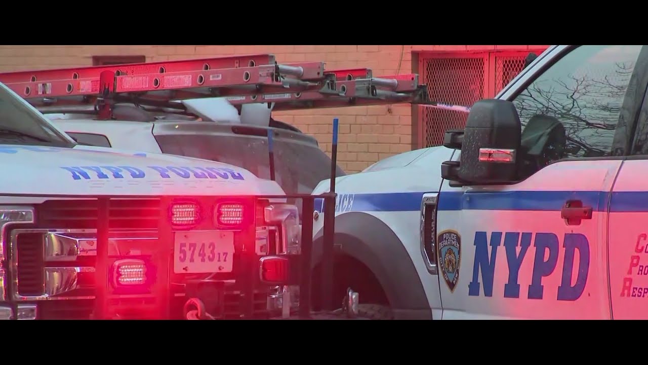 Man shot to death in Bronx subway station: NYPD - YouTube