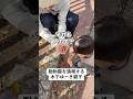 動物園を満喫する木下ゆーき親子 #子育て #育児 #木下ゆーき #赤ちゃん #子ども #家族 #親子 #夫婦