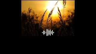 Luvia Band - Orang Yang Salah ( Lirik Video )