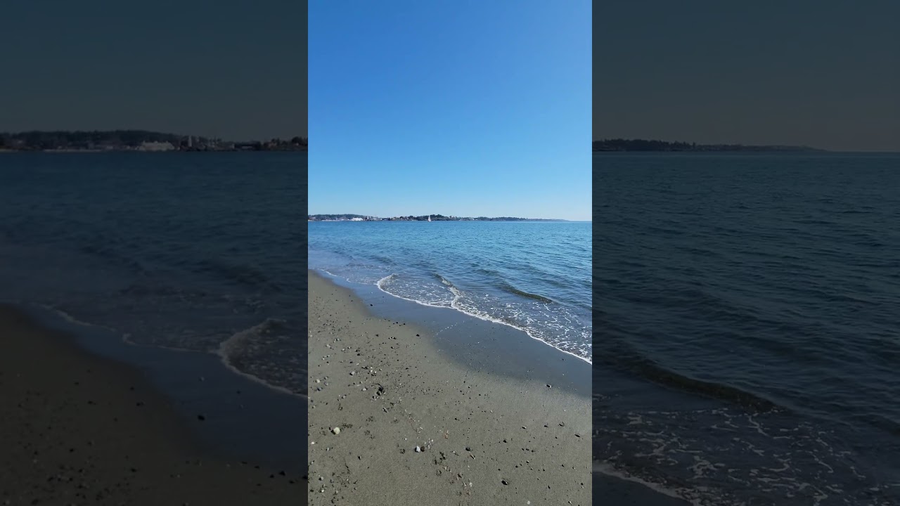 Esquimalt Lagoon | on March 19th 2024 I 