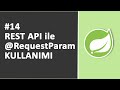 14) REST API ile @RequestParam Kullanımı | SPRİNG Dersleri
