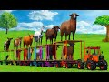 TRANSPORT MASSIVE CONVOY WITH SHEEPS, BUFALLO, COWS, HORSES, GOATS &amp; TRACTORS - FS25