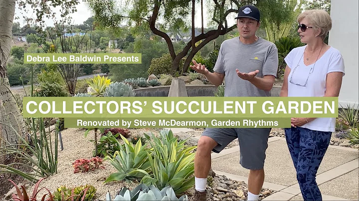 See a Collectors' Succulent Garden Redo