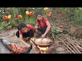 Catch and cook Fish for jungle food, Fish hot chili braised very delicious for dinner