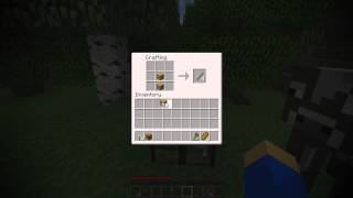 Minecraft Quality Test (FRAPS)