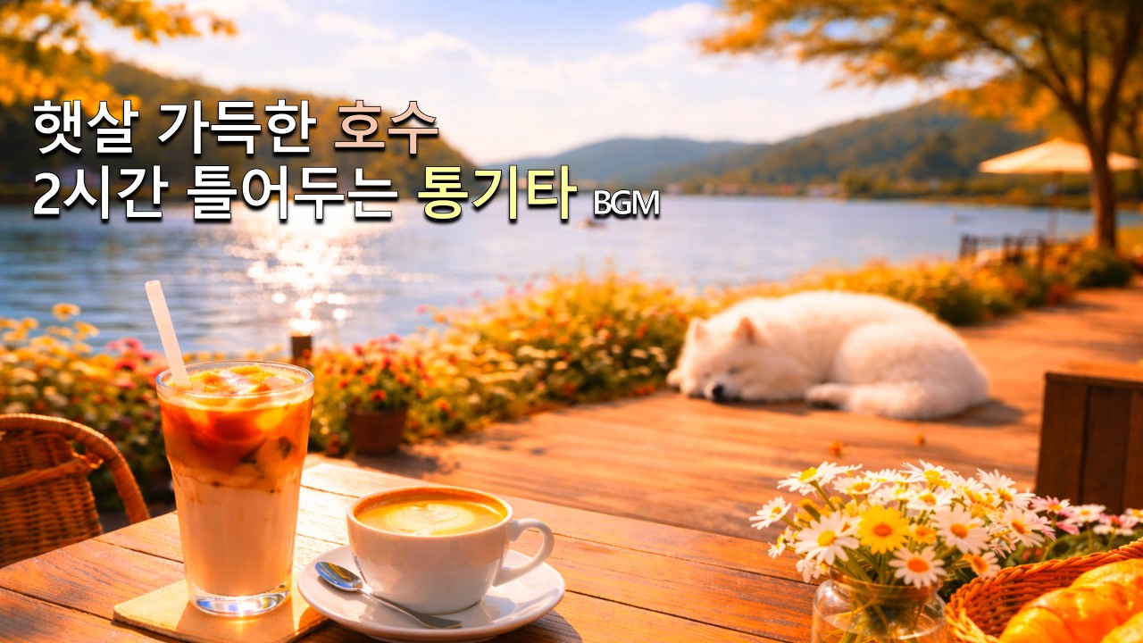햇살 가득한 호수 | 2시간 틀어두는 통기타 BGM
