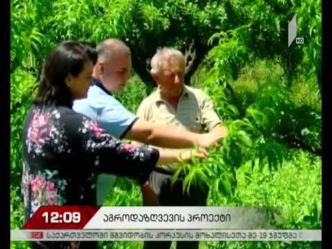 აგროდაზღვევის პროგრამა