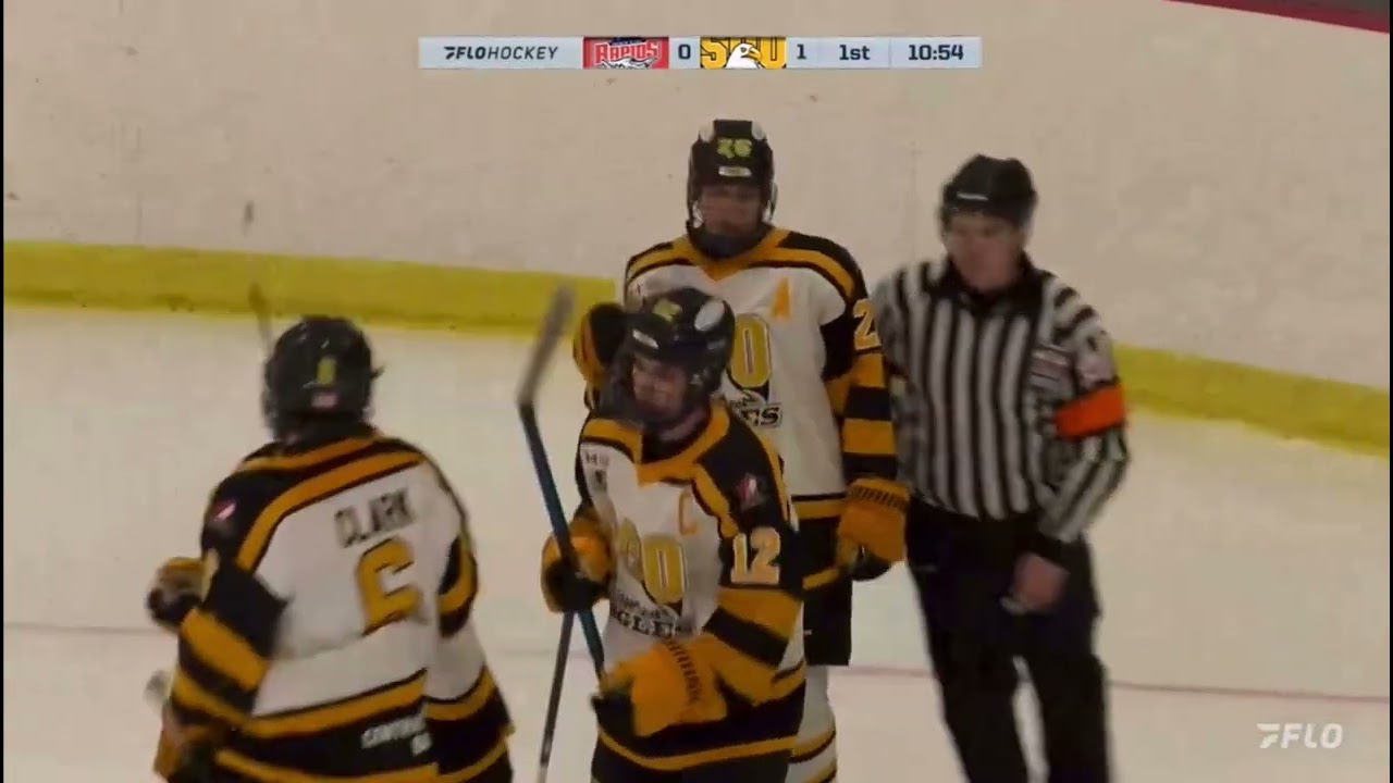 Ilian Danilov 2/28/2025. Soo Eagles vs Rapids. NOJHL 2025